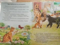 Книжки детски, снимка 7