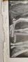 Уникат. Ретро диплянка 1931г.Еротика, снимка 7
