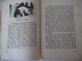 Книга "Майчино сърдце - Атанасъ Душковъ" - 64 стр., снимка 6