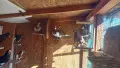  Гълъби на въртене  , снимка 6
