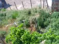 prodava se  imot gr kermen-centar sas 1-gk zemia, снимка 12