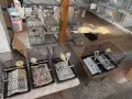 Червении и къдрави канарчета, снимка 9