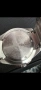 Citizen eco drive мъжки часовник, снимка 3
