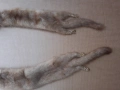 Яка от норка , норки - 2 броя , естествена кожа, снимка 4