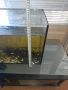 Продавам аквариум с маса към него., снимка 5