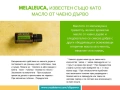  Разпродажба на оригинални масла dōTERRA! , снимка 3
