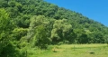 Продавам селски имот с.Беренде извор. , снимка 1