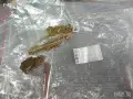 443898041A**НОВИ**AUDI**К-Т ПЛАСТИНИ ЗА ЗКЛЮЧВАЩ МЕХАНИЗЪМ**, снимка 4