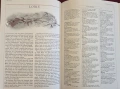Hugh Johnson's Wine Companion. The  New Encyclopaedia of Wines, Vineyards and Winemakers, снимка 7