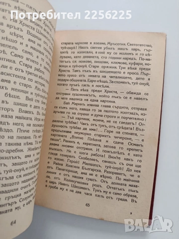 Аламинутъ, снимка 10 - Художествена литература - 54189843