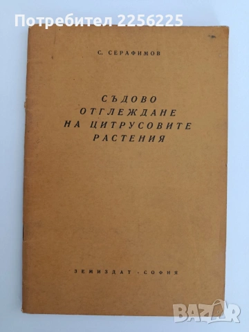 Съдово отглеждане на цитрусовите растения 
