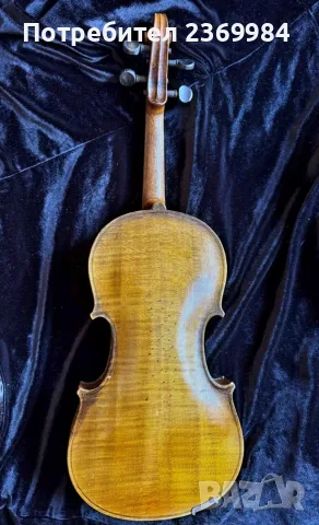 Цала цигулка Pietrus Ambrosi, снимка 5 - Струнни инструменти - 55573966