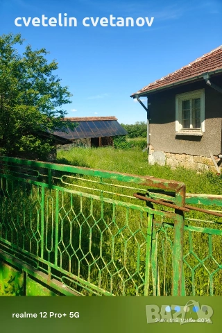 Косене и почистване, снимка 4 - Почистване на домове - 54717067