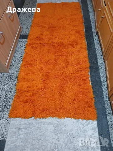 Домашен губер, китеник