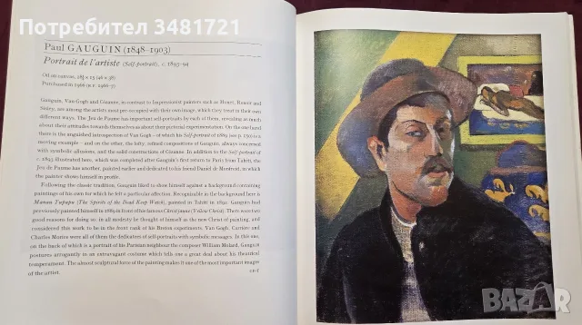 Impressionist Masterpieces at the Jeu De Paume, Paris, снимка 7 - Изкуство, музика, кино и фотография - 55362071