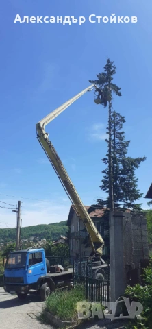 Рязане и кастрене на дървета с автовишка, снимка 4 - Други услуги - 54006380