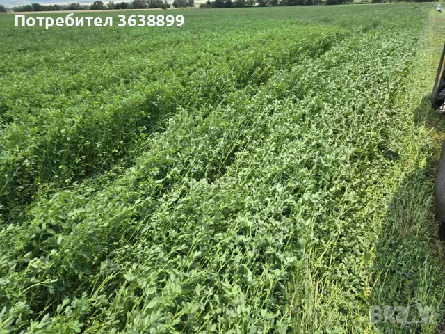 Рулонни бали люцерна,ливадно сено!