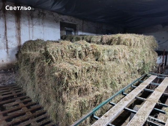 Продавам малки бали сено 
