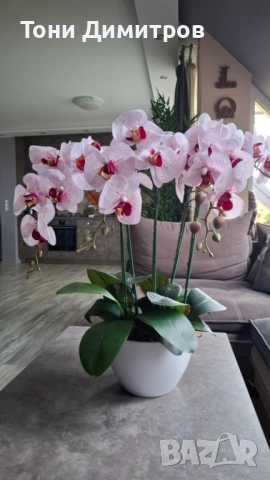 ИЗКУСТВЕНО РАСТЕНИЕ ОРХИДЕЯ 70CM