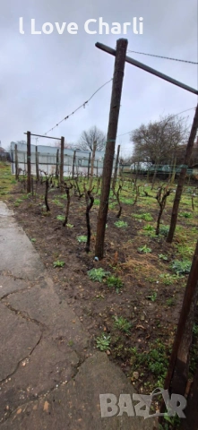 3.4 дка в с. Златия – ⚡ТОК 💧ВОДА ⛏️КЛАДЕНЕЦ 🌱ОРАНЖЕРИЯ ⚡ТРАФОПОСТ 🛣️АСФАЛТОВ ПЪТ, снимка 4 - Парцели - 54027636