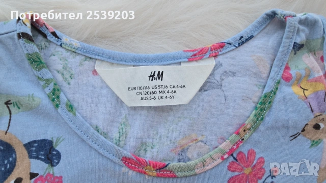 Детска рокля H&M 4-6 години, снимка 5 - Детски рокли и поли - 54817760