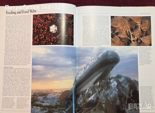 Атлас на океаните / The Random House Atlas of the Oceans, снимка 8 - Пътеводители, карти и атласи - 54960074