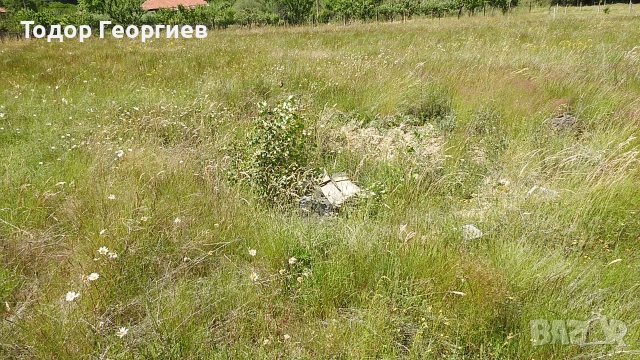 ПРОДАВА СЕ: Панорамен имот 3030 кв.м (Земеделска земя) над с. Жиленци, м. Лютицата, снимка 3 - Земеделска земя - 55216859