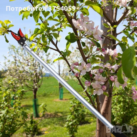 Ножица за клони и бране на плодове 100 см – прецизно рязане без стълба, снимка 2 - Градински инструменти - 55161559