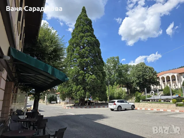 Търговска сграда, снимка 4 - Други - 55316747