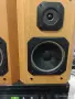 T+A Spectrum ADL 1 – Немски Hi-Fi тонколони, снимка 4