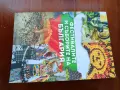 Фестивалите и Съборите на България, снимка 3
