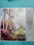 Грамофонни плочи, снимка 16