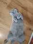 Британски късокосмести котенца търсят грижовни стопани, снимка 13