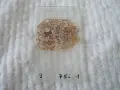 Микроскопски образци минерали Bulg., снимка 13