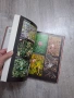Красная книга РСФСР Растения , снимка 9