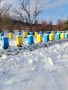 пчелни отводки (малки пчелни семейства) , снимка 5