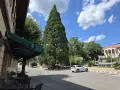 Търговска сграда, снимка 4