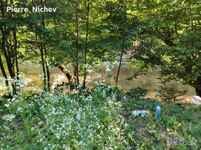 Панорамен Парцел , снимка 13 - Парцели - 47795715