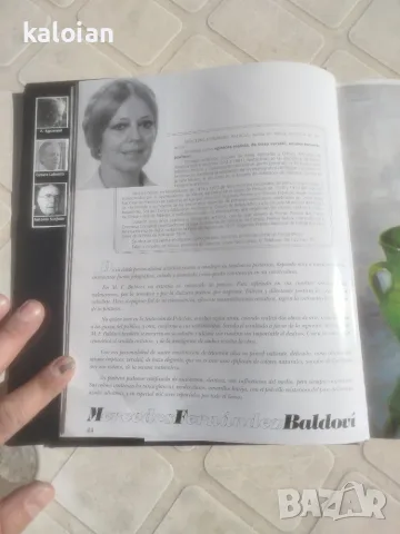 Mercedes Baldovi. Валенсианска авторка известна с пищните си натюрморти типични за областта, снимка 10 - Картини - 55510332