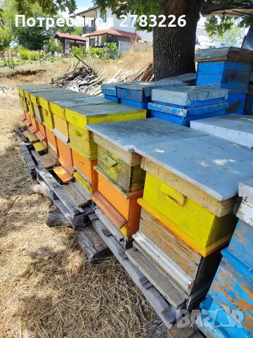 12 бр. нови Даданблат с многок.магазини , снимка 6 - За пчели - 55435257