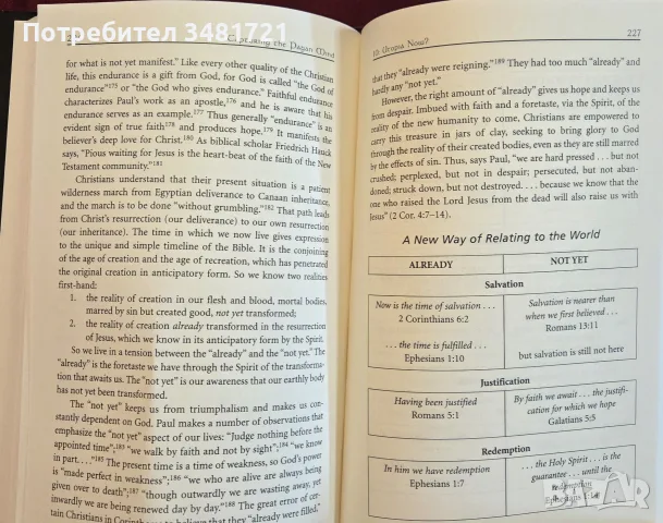 Capturing the Pagan Mind. Paul's Blueprint for Thinking and Living in the New Global Culture, снимка 3 - История, политика и общество - 55361188