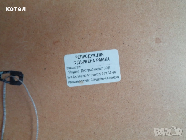 Продавам  картина / репродукция – Етнически стил, снимка 3 - Картини - 55006006