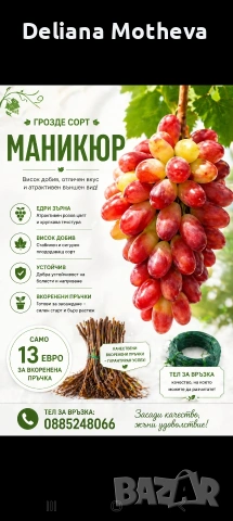 Десертен сорт " Маникюр"