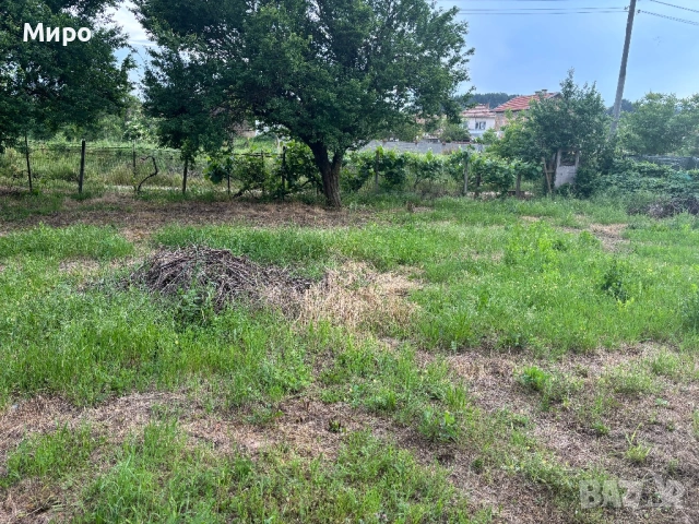 Дворно място от собственик, снимка 11 - Парцели - 54775203