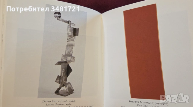 American Art of the Twentieth Century, снимка 9 - Изкуство, музика, кино и фотография - 55065403