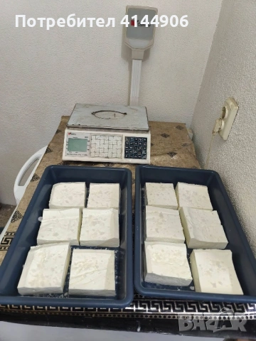 Пастьоризирано козе сирене
