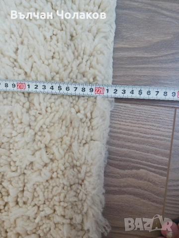 Продавам китеници с къс косъм, снимка 8 - Други - 55257750