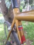 Stevens vuelta world champion, снимка 3