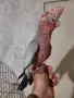 Бебе розово какаду , снимка 2