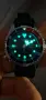 Citizen Pro Master NY-0086-16LE, снимка 3